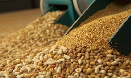 2024年豬飼料行業(yè)市場現(xiàn)狀、發(fā)展格局與原料銷售競爭趨勢(shì)展望